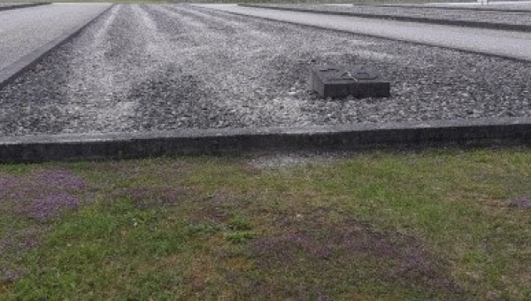 Gedanken zur Predigt am 12.6.22