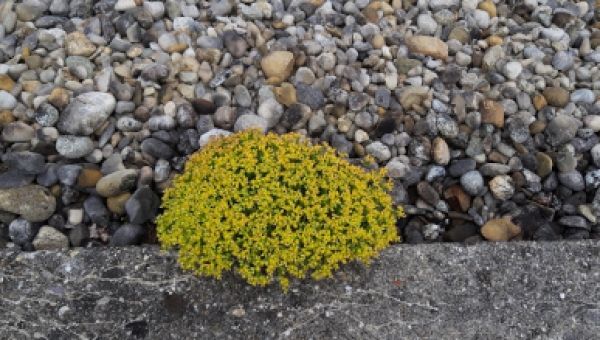 Runde Gedenktage 2024