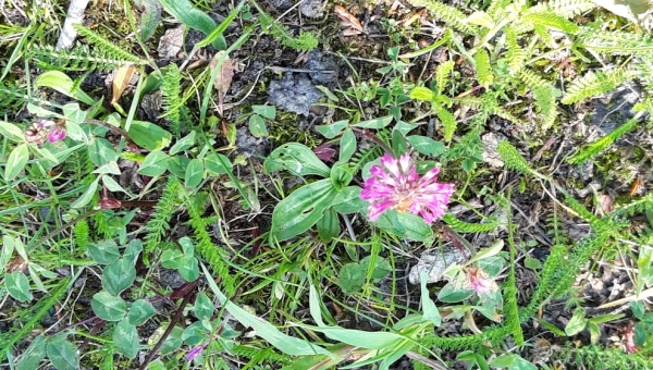 Namen von Geistlichen P-Q